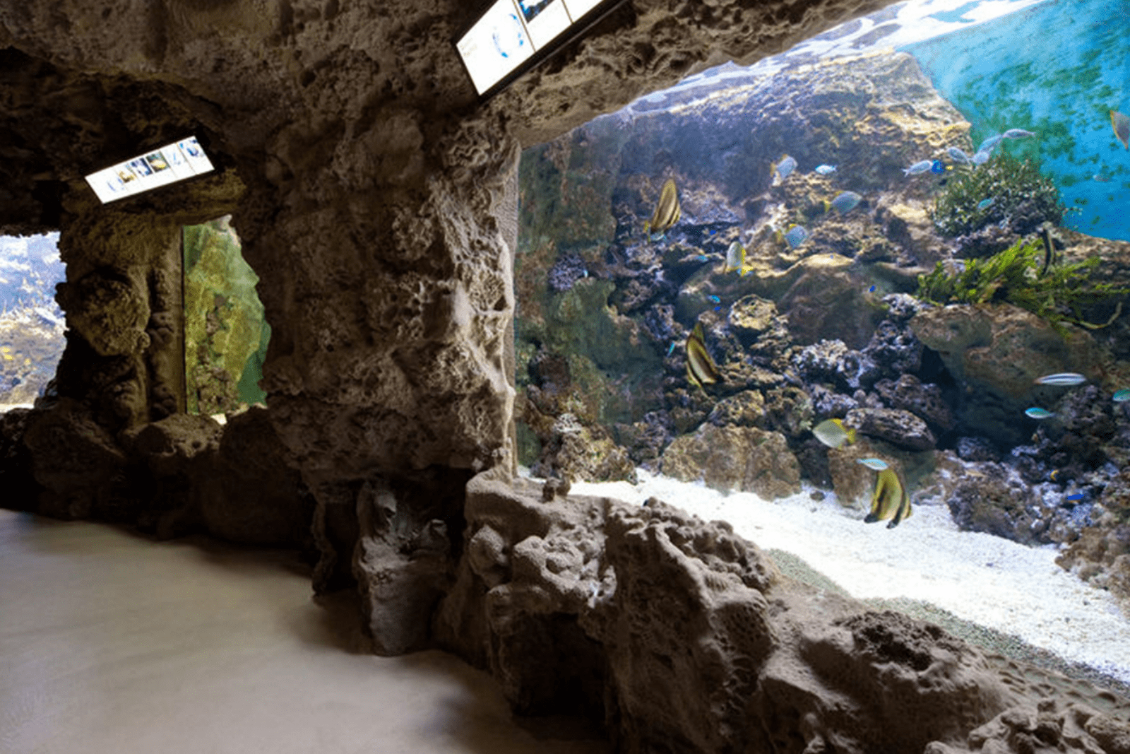 acquario-livorno-2